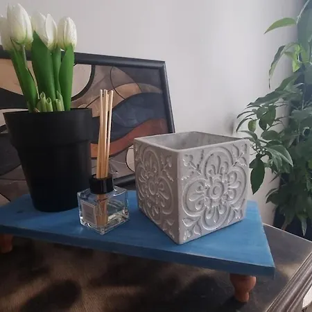 Apartment Mood Vibes *