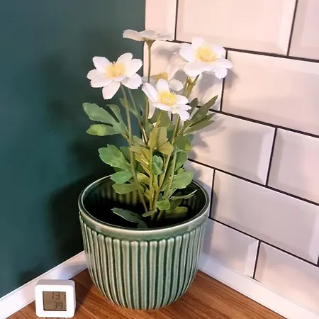 Mood Vibes Apartment Varna